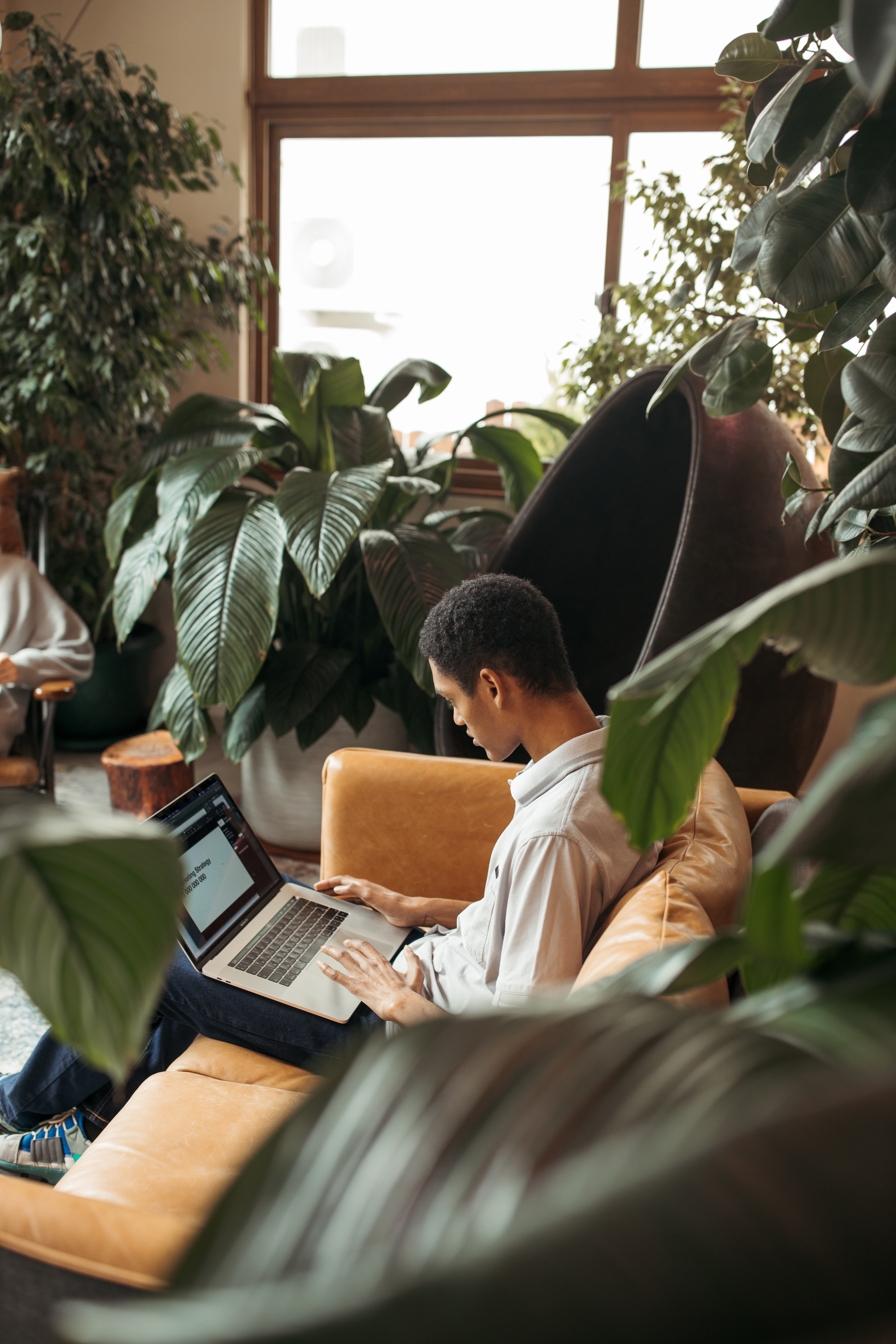 A person sitting on a leather couch working on a laptop in a room filled with various green plants.
