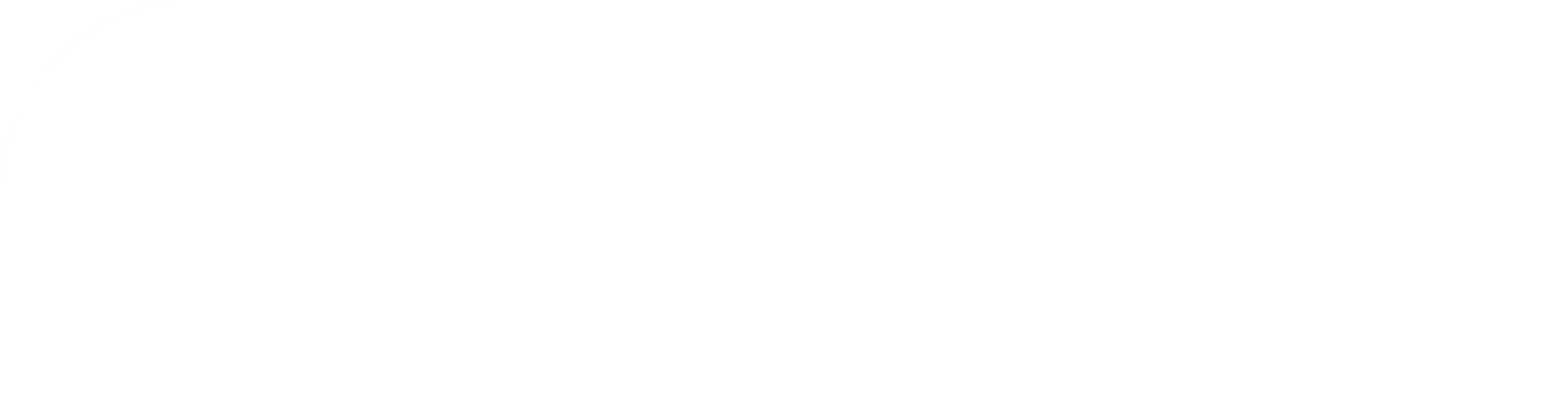 bbisolutions logo white