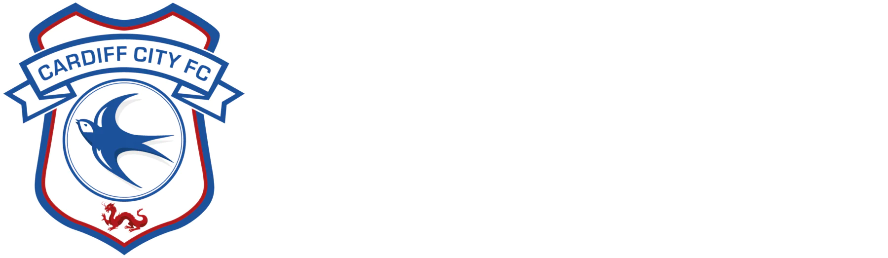 Cardiff City FC Foundation Logo White
