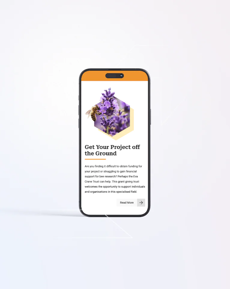 Smartphone displaying a webpage with a bee and purple flowers image, heading “Get Your Project off the Ground,” and a paragraph of text. There is a "Read More" button at the bottom of the screen.