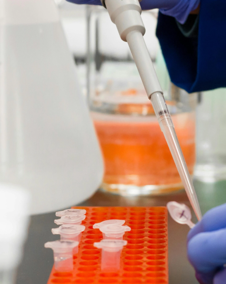 A gloved hand uses a pipette to transfer liquid into small tubes arranged in an orange rack in a lab setting.